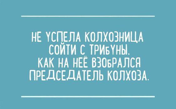 Подробнее о статье 25 свежих шуток на среду