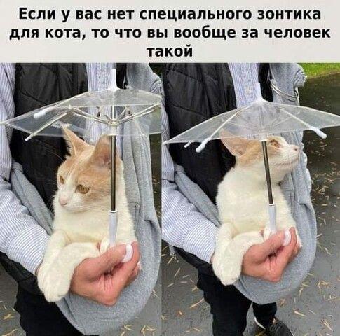 Супер забавные картинки