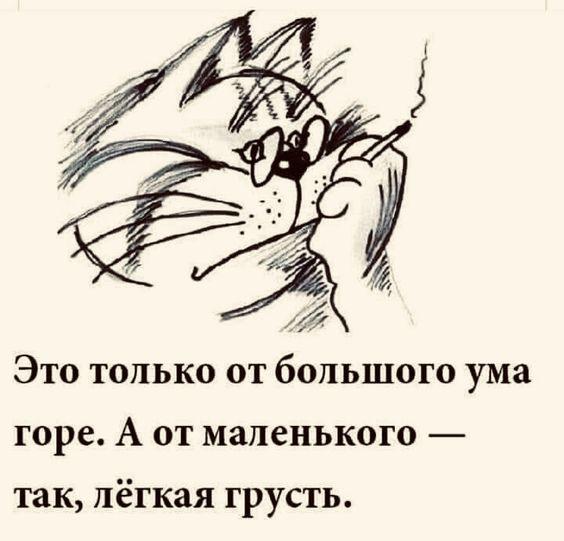 Подробнее о статье Самые смешные до слез картинки