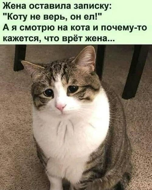 Самые ржачные до слез картинки