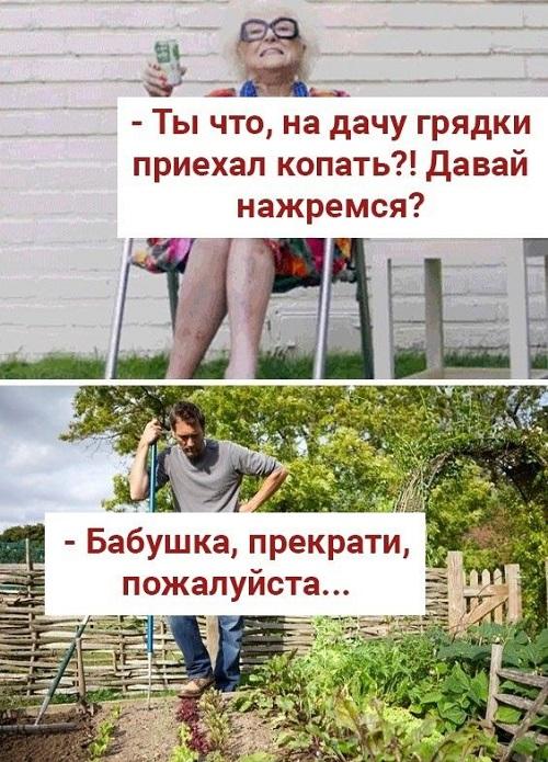 Супер убойные картинки