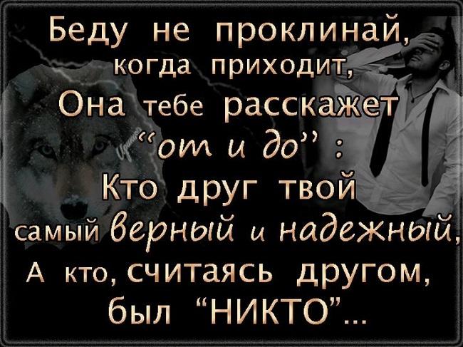 Подробнее о статье Цитаты про беду со смыслом