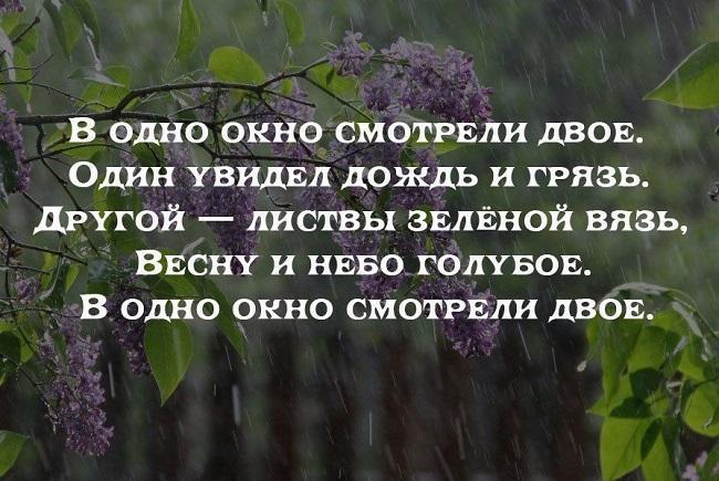 Подробнее о статье Веселые статусы про весну