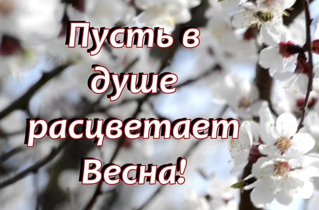 Подробнее о статье Статусы про весну для ВКонтакте