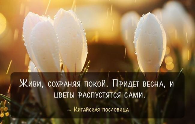 Подробнее о статье Статусы про весну для Одноклассников