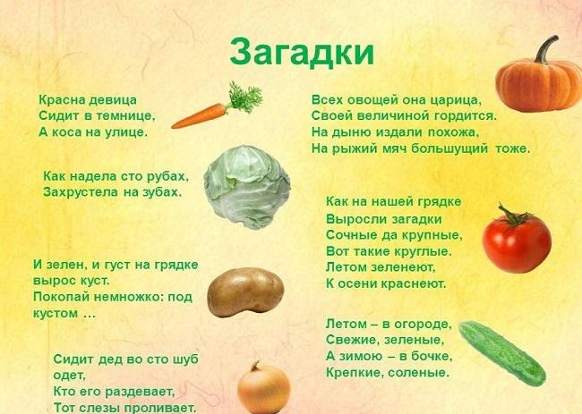 Подробнее о статье Загадки для детей про овощи и фрукты