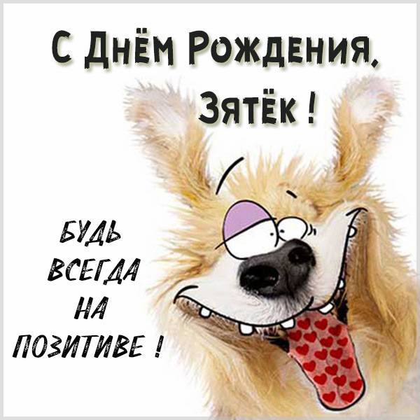 Веселые поздравления зятю с Днем Рождения (открытки)