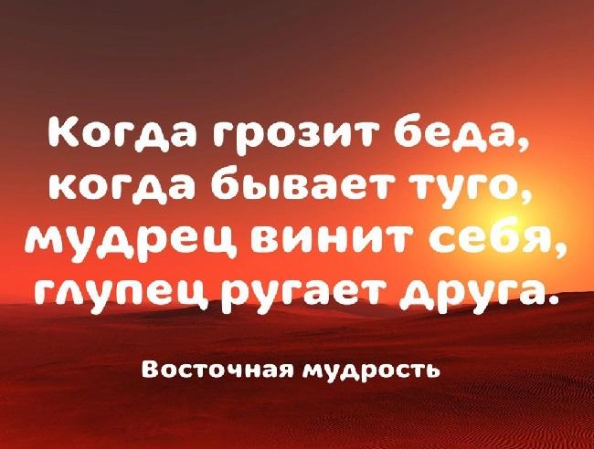 Подробнее о статье Цитаты и фразы про беду со смыслом (картинки)