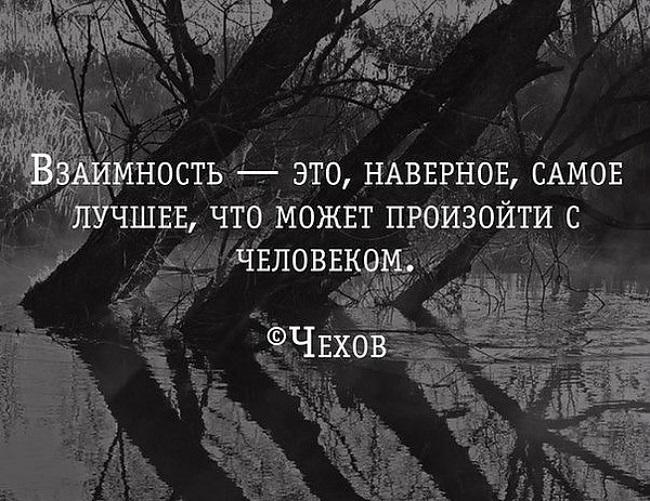 Подробнее о статье Короткие цитаты про взаимность