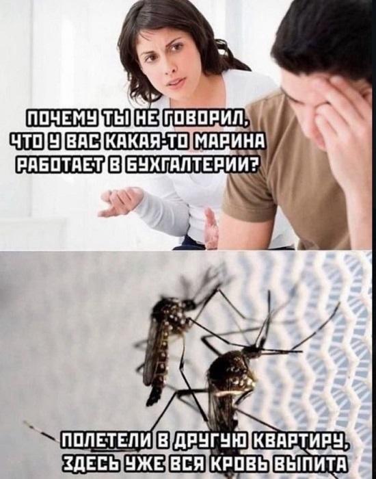 Новые мемы на сегодняшний день