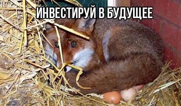 Свежие мемы на утро вторника