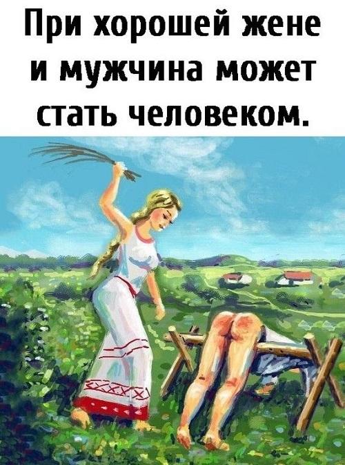 Смешные и веселые картинки