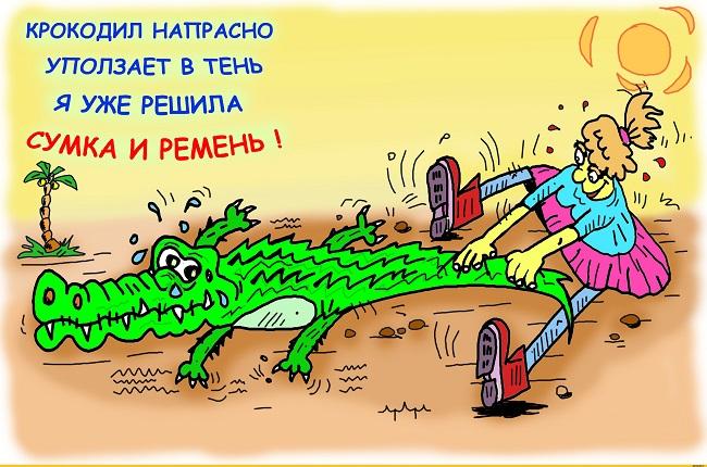 Лучшие карикатуры на разные темы