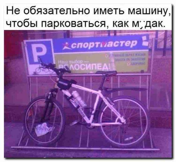 Смешные и забавные картинки