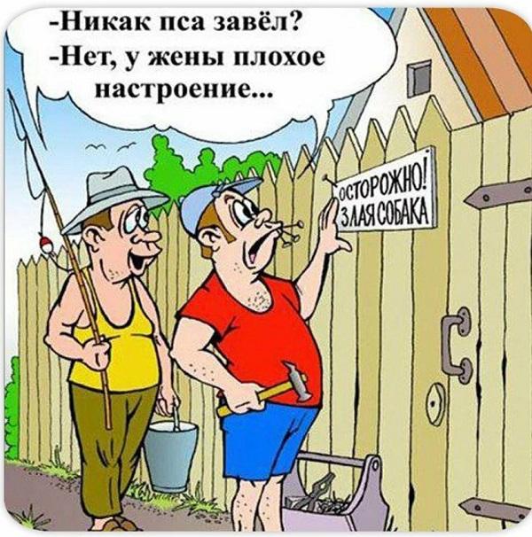 Хорошие карикатуры на разные темы