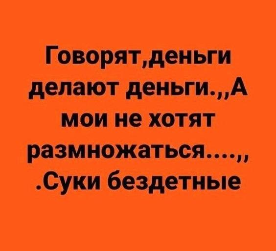 Подробнее о статье Свежие шутки на сегодняшнее утро (25.05.2023)