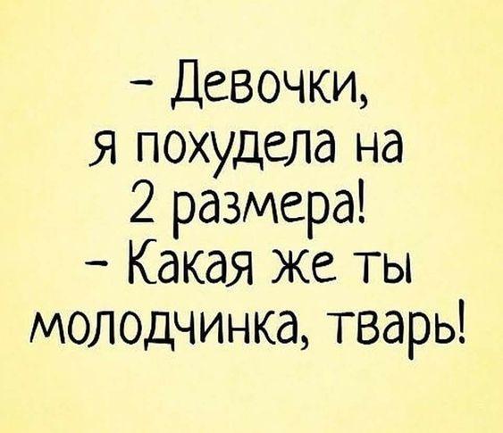 Подробнее о статье Свежие шутки на утро понедельника