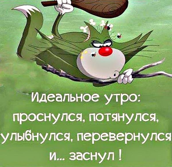 Подробнее о статье Утренние статусы — для бодрости и позитива