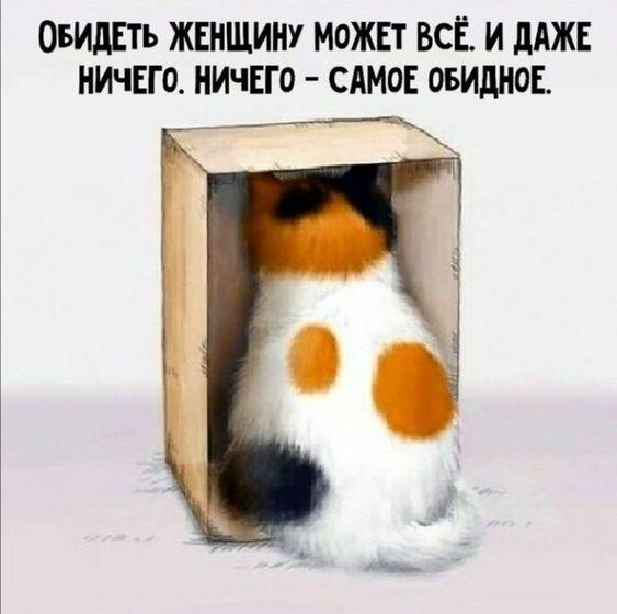 Свежие мемы понедельника (15 шт)