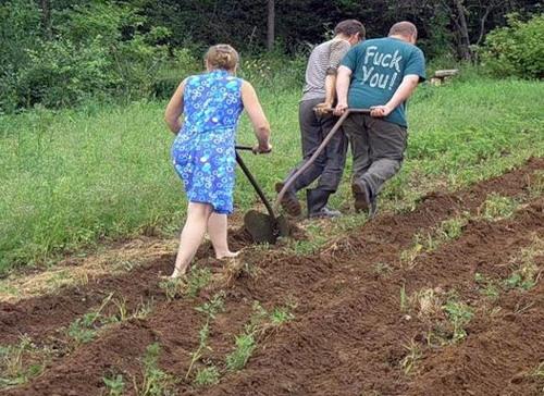 Свежие хорошие фото-приколы