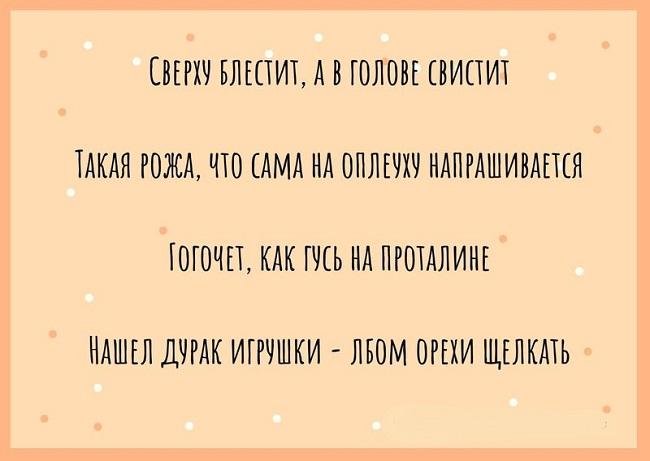 Подробнее о статье Прикольные и веселые пословицы на картинках