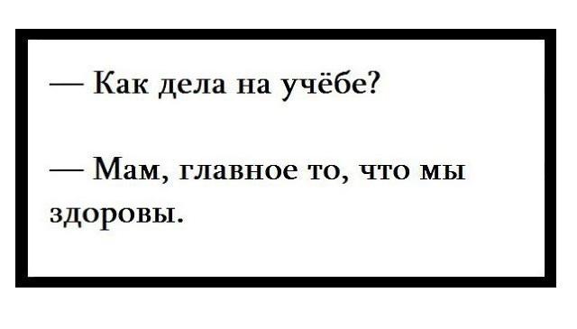 Подробнее о статье Лучшие статусы про школу и учебу