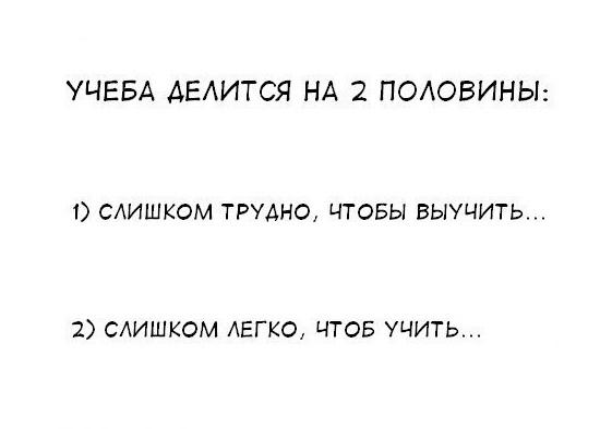 Подробнее о статье Улетные статусы про школу и учебу