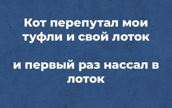 Подробнее о статье Свежие шутки на утро четверга (25 шт)