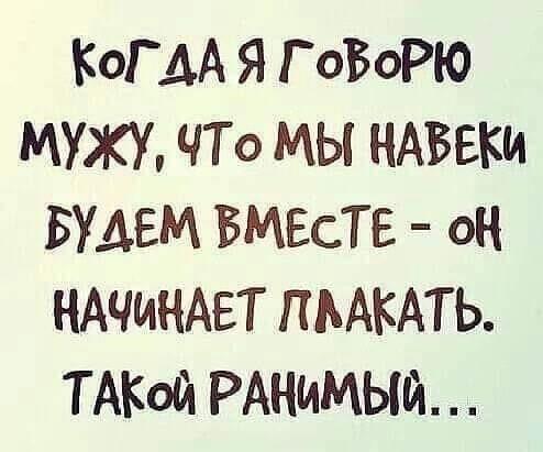 Подробнее о статье Свежие шутки понедельника (25 шт)