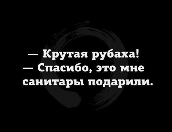 Подробнее о статье Свежие шутки утра четверга (25 шт)