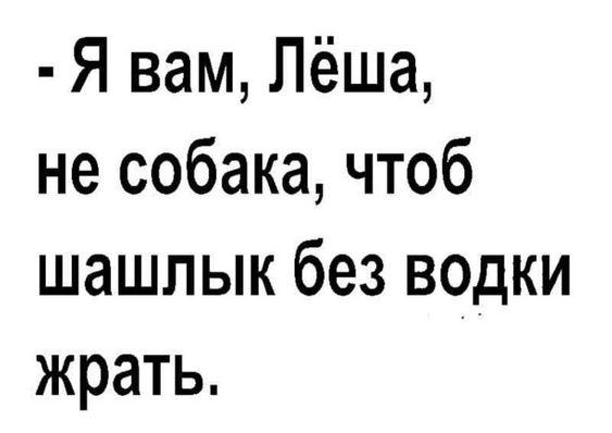 Подробнее о статье Свежие шутки утра понедельника (25 шт)