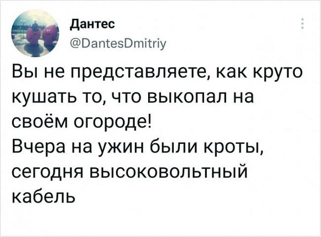 Подробнее о статье Смешные и забавные комментарии из соцсетей