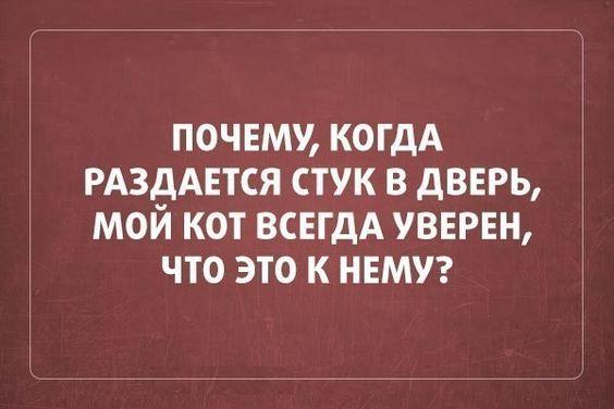 Картинки с забавными шутками на различные темы