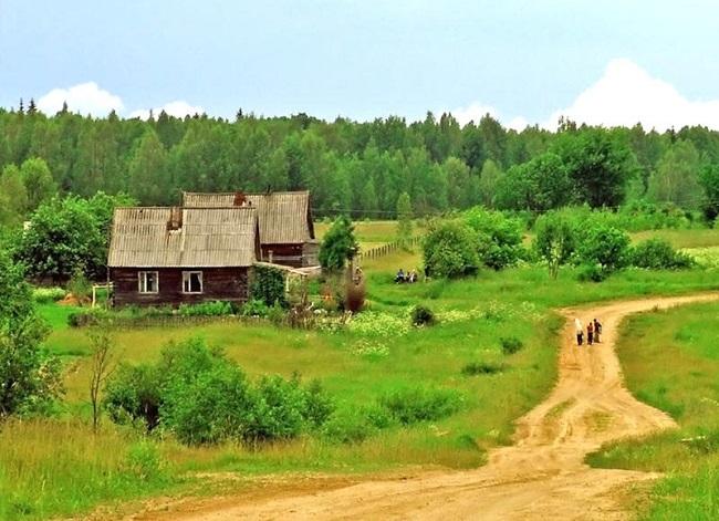 Подробнее о статье Красивые цитаты про деревню