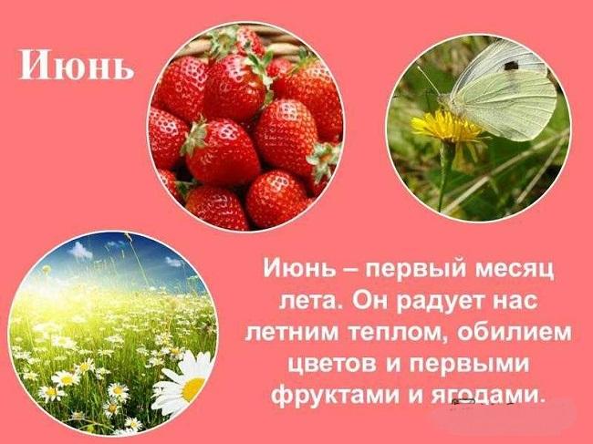 Красивые фразы и цитаты о лете (картинки)