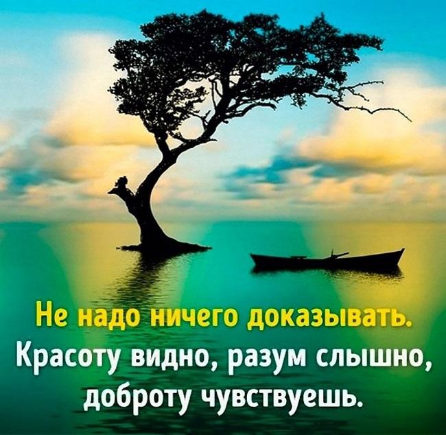 Подробнее о статье Веселые статусы про добро и доброту