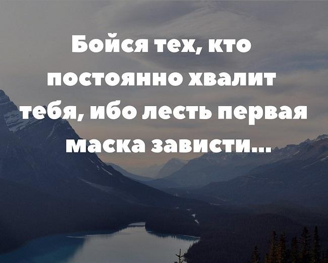 Подробнее о статье Мудрые фразы и цитаты про зависть