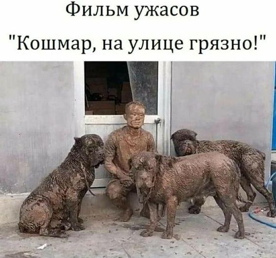 Просто веселые картинки