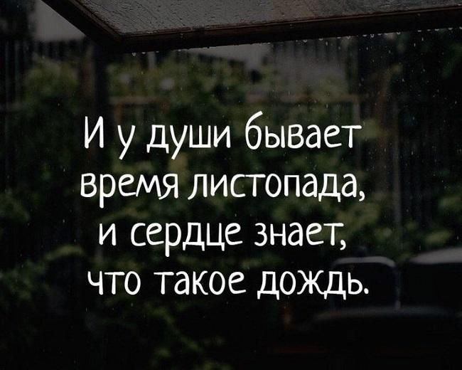 Подробнее о статье Цитаты и выражения про дождь