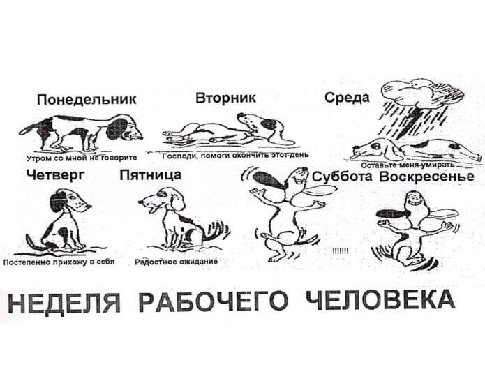 Подробнее о статье Новенькие анекдоты четверга