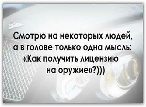 Подробнее о статье Новенькие шутки понедельника