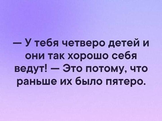 Подробнее о статье Среда — новые шутки