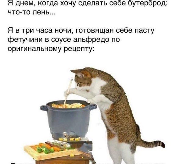 Смешные до слез мемы для среды