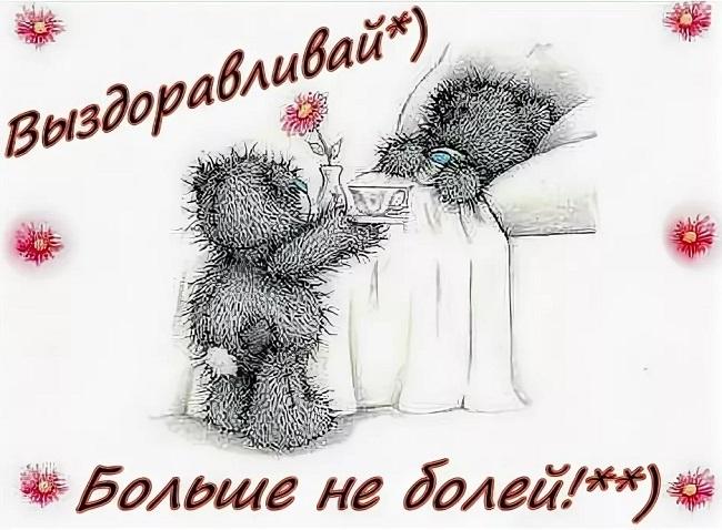 Выздоравливай Медвежонок Картинки