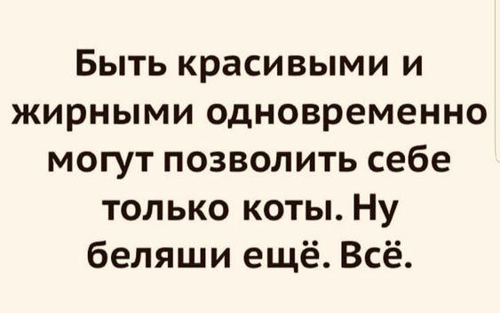 Подробнее о статье Очень смешные шутки для пятницы