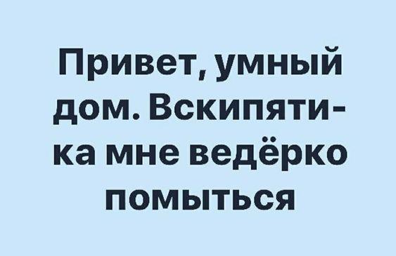 Подробнее о статье Самые смешные шутки для пятницы