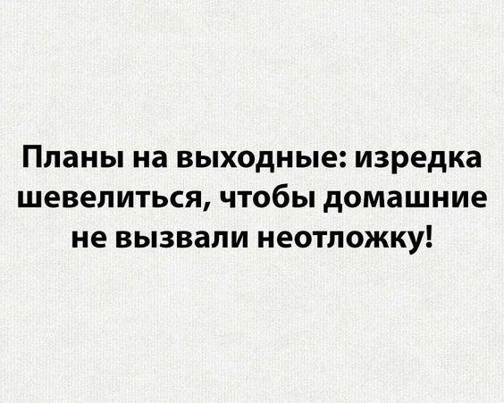 Подробнее о статье Самые смешные шутки для понедельника