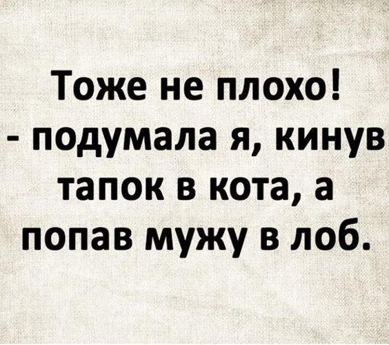 Подробнее о статье Смешные до слез шутки для понедельника