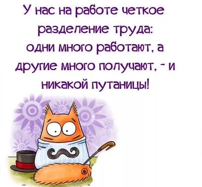 Подробнее о статье Короткие прикольные фразы про работу