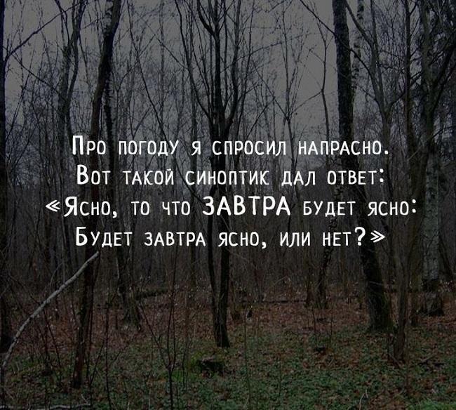 Подробнее о статье Красивые статусы про погоду и настроение